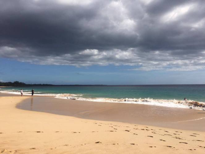 15409928_1500901249927794_1734317026_o