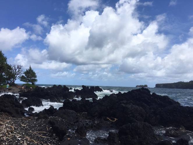 15419318_1500623529955566_1033037675_o