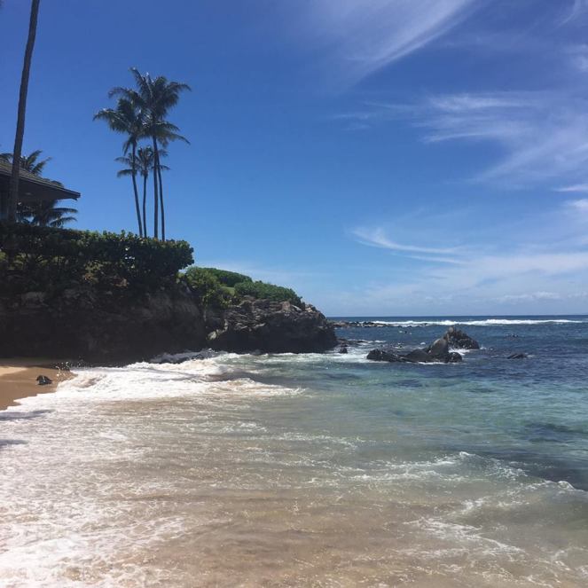 15423536_1500901033261149_537918977_n