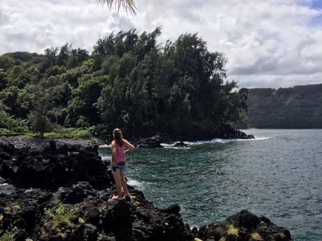 15491860_1500623043288948_1681379979_o