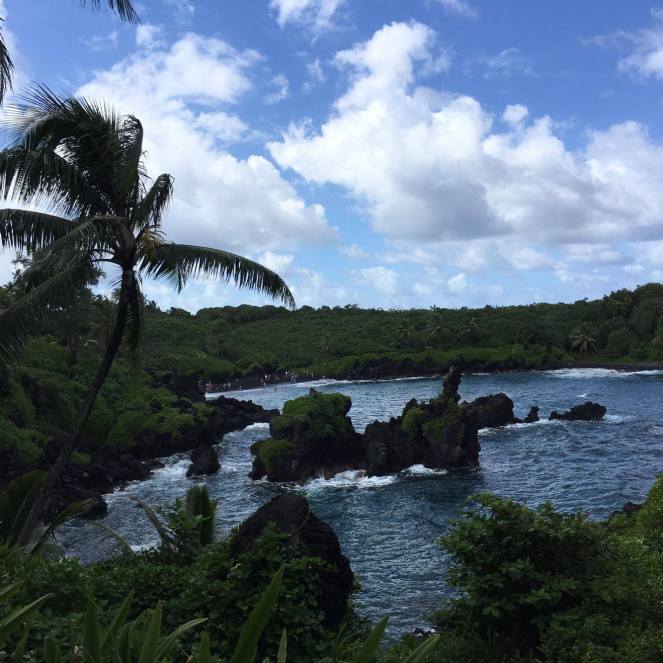 15491900_1500635279954391_682016867_o