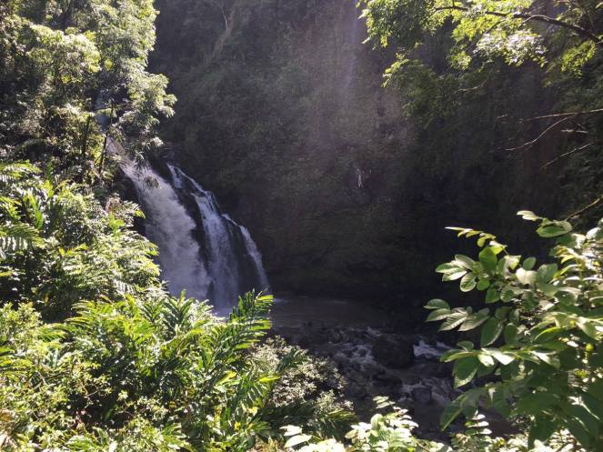 15491979_1500623809955538_669953050_o