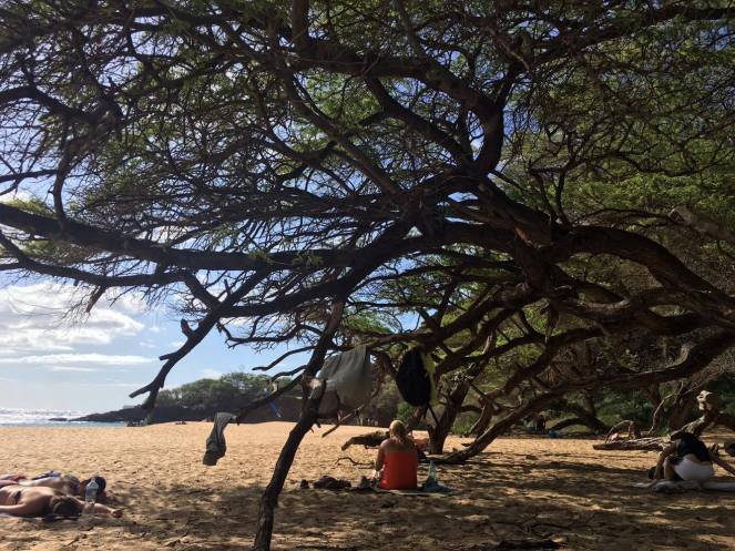 15515776_1500901259927793_418534690_o