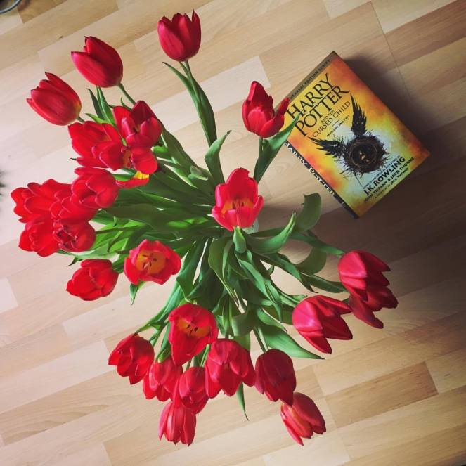 18175789_1703072603043990_1899798214_o